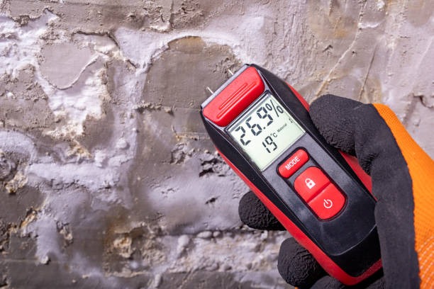 Best Commercial Mold Removal  in Eddystone, PA